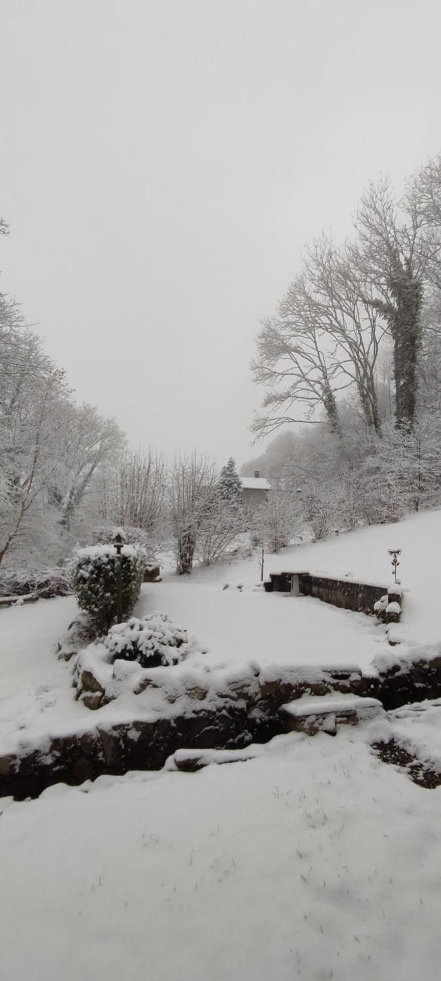 Un Air D'Alsace Villa Rimbach-près-Guebwiller Екстериор снимка